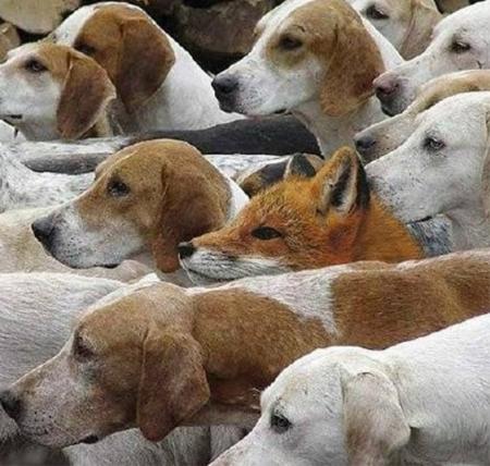 Cherchez l'erreur !!!